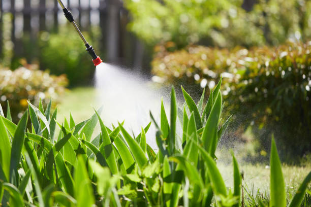 24/7 Emergency Wasp Removal experts in Camp Point, IL
