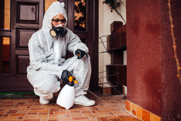 Reliable Wasp Removal contractor in Camp Point, IL by Show Me Pest Control