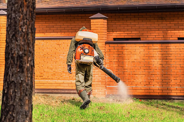 Top rated local Wasp Removal specialists in Camp Point, IL
